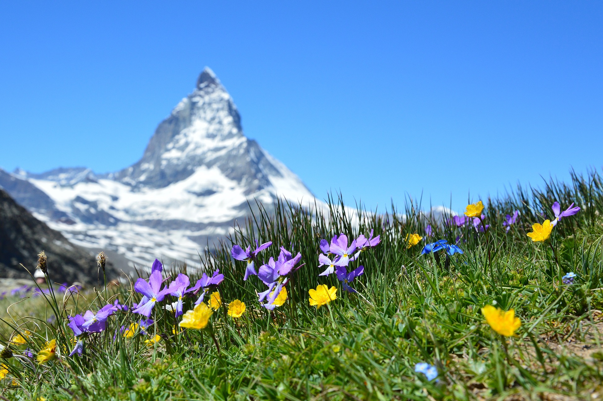 Ingolf Derkow und das Bergwandern Alpen Matterhorn-1516734_1920