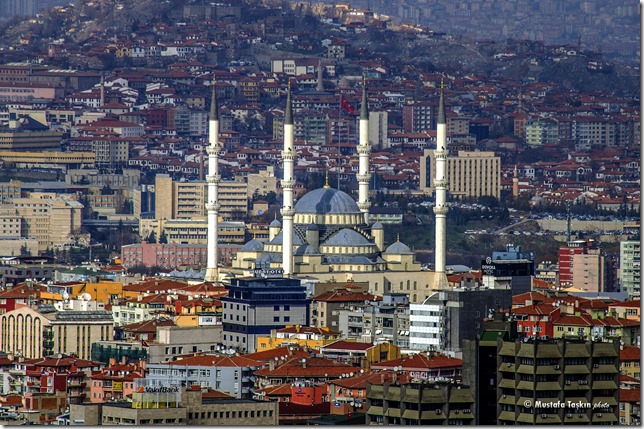 Dr. Olufemi Adeogba beim FUE Hands-On Workshop Ankara Türkei